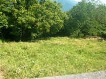 terrain