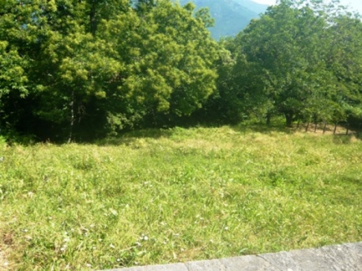 terrain