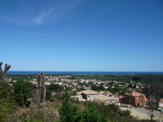 VUE