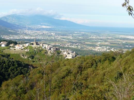 VUE 1
